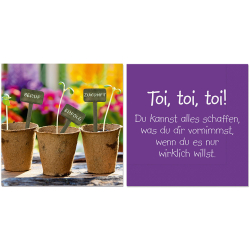 Servietten La Vida Serie für Dich Spruch Toi, toi, toi!